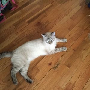 Meet your Posher, Redneck chris